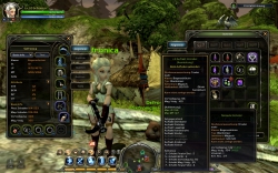 Dragon Nest - Gameplay Screenshot #2